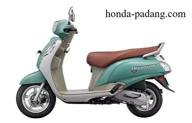 Suzuki Luncurkan Motor Listrik